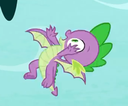 Size: 339x282 | Tagged: safe, screencap, character:spike, species:dragon, episode:molt down, g4, my little pony: friendship is magic, claws, flying, male, solo, winged spike, wings