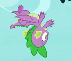 Size: 333x282 | Tagged: safe, screencap, character:spike, species:dragon, episode:molt down, g4, my little pony: friendship is magic, season 8, claws, flying, male, solo, tail, upside down, winged spike