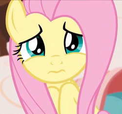 Size: 760x712 | Tagged: safe, screencap, character:fluttershy, species:pony, episode:discordant harmony, g4, my little pony: friendship is magic, 3:, cropped, cute, female, looking at you, shyabetes, solo