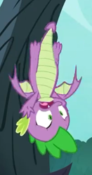 Size: 204x390 | Tagged: safe, screencap, character:spike, species:dragon, episode:molt down, g4, my little pony: friendship is magic, season 8, claws, cropped, male, solo, upside down, winged spike, wings