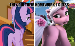 Size: 839x515 | Tagged: safe, editor:pony-berserker, screencap, character:twilight sparkle, character:twilight sparkle (alicorn), species:alicorn, species:pony, species:unicorn, female, filly funtasia, flower, flower in hair, i watch it for the plot, looking at you, plot, rose (filly funtasia)