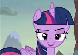 Size: 1326x938 | Tagged: safe, screencap, character:twilight sparkle, character:twilight sparkle (alicorn), species:alicorn, species:pony, episode:the hooffields and mccolts, g4, my little pony: friendship is magic, cropped, lidded eyes, looking at you, smiling, smirk, solo