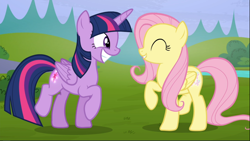 Size: 1668x939 | Tagged: safe, screencap, character:fluttershy, character:twilight sparkle, character:twilight sparkle (alicorn), species:alicorn, species:pegasus, species:pony, episode:the hooffields and mccolts, g4, my little pony: friendship is magic, big smile, duo, eyes closed, female, glowing cutie mark, mare, proud, raised hoof, raised leg, smiling, teeth