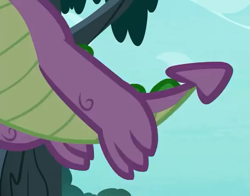 Size: 589x461 | Tagged: safe, screencap, character:spike, species:dragon, episode:molt down, g4, my little pony: friendship is magic, claws, cropped, feet, legs, male, male feet, pictures of legs, tail, winged spike