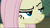 Size: 1667x939 | Tagged: safe, screencap, character:fluttershy, character:mean fluttershy, species:pegasus, species:pony, episode:the mean 6, g4, my little pony: friendship is magic, clone, close-up, female, lidded eyes, mare, raised eyebrow, solo