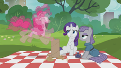 Size: 1920x1080 | Tagged: safe, screencap, character:maud pie, character:pinkie pie, character:rarity, species:earth pony, species:pony, species:unicorn, episode:the gift of the maud pie, g4, my little pony: friendship is magic, blurr, blurry, confetti, female, mare