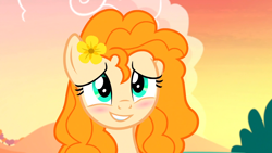 Size: 1600x900 | Tagged: safe, screencap, character:pear butter, species:pony, episode:the perfect pear, g4, my little pony: friendship is magic, blushing, buttercup, cute, flower, flower in hair, sunset