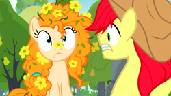 Size: 1600x900 | Tagged: safe, screencap, character:bright mac, character:pear butter, species:pony, ship:brightbutter, episode:the perfect pear, g4, my little pony: friendship is magic, clothing, cowboy hat, cute, female, flower, flower in hair, hat, male, messy mane, shipping, shocked, straight, worried