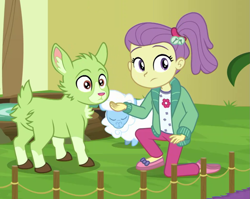 Size: 1037x827 | Tagged: safe, screencap, species:goat, species:sheep, equestria girls:spring breakdown, g4, my little pony:equestria girls, cropped, female, lily pad (equestria girls), tiny ewes