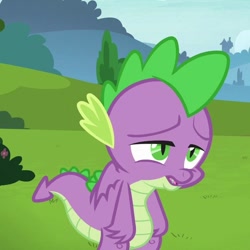 Size: 630x630 | Tagged: safe, screencap, character:spike, species:dragon, episode:father knows beast, g4, my little pony: friendship is magic, claws, male, tail, winged spike, wings, yelling