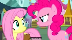 Size: 631x351 | Tagged: safe, screencap, character:fluttershy, character:pinkie pie, episode:putting your hoof down, g4, my little pony: friendship is magic, youtube caption