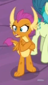 Size: 96x168 | Tagged: safe, screencap, character:gallus, character:sandbar, character:smolder, species:dragon, episode:uprooted, g4, my little pony: friendship is magic, angry, animated, animated png, annoyed, cropped, crossed arms, dragoness, female, foot tapping, gif, gif for breezies, horns, impatient, picture for breezies, solo focus, tapping, underfoot