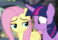 Size: 950x650 | Tagged: safe, screencap, character:fluttershy, character:twilight sparkle, species:pony, episode:a health of information, g4, my little pony: friendship is magic, bags under eyes, duo, lidded eyes
