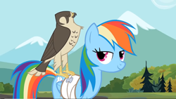 Size: 1920x1080 | Tagged: safe, screencap, character:rainbow dash, species:pony, episode:may the best pet win, g4, my little pony: friendship is magic, bandage, falcon