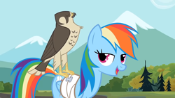 Size: 1920x1080 | Tagged: safe, screencap, character:rainbow dash, species:pony, episode:may the best pet win, g4, my little pony: friendship is magic, bandage, falcon, lidded eyes, open mouth
