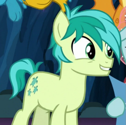 Size: 617x611 | Tagged: safe, screencap, character:gallus, character:ocellus, character:sandbar, character:smolder, species:changedling, species:changeling, species:dragon, species:earth pony, species:pony, species:reformed changeling, episode:uprooted, g4, my little pony: friendship is magic, cropped, cute, dragoness, excited, female, male, offscreen character, paws, sandabetes, smiling, solo focus, teenager
