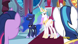 Size: 1920x1080 | Tagged: safe, screencap, character:princess celestia, character:princess luna, character:shining armor, character:twilight sparkle, character:twilight sparkle (alicorn), species:alicorn, species:pony, species:unicorn, episode:sparkle's seven, g4, my little pony: friendship is magic, canterlot, canterlot castle, castle, discovery family logo, female, grumpy, grumpy luna, male, mare, throne room