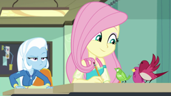 Size: 1280x720 | Tagged: safe, screencap, character:fluttershy, character:trixie, episode:a little birdie told me, g4, my little pony:equestria girls