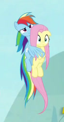 Size: 380x719 | Tagged: safe, screencap, character:fluttershy, character:rainbow dash, species:pony, episode:sparkle's seven, g4, my little pony: friendship is magic, season 9, cropped, duo, flying