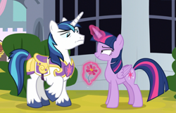 Size: 1333x861 | Tagged: safe, screencap, character:shining armor, character:twilight sparkle, character:twilight sparkle (alicorn), species:alicorn, species:pony, episode:sparkle's seven, g4, my little pony: friendship is magic, cropped, devious smile, flower, glowing horn, levitation, lidded eyes, magic, out of context, royal guard armor, smuglight sparkle, suspicious, telekinesis