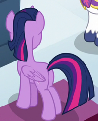 Size: 337x412 | Tagged: safe, screencap, character:shining armor, character:twilight sparkle, character:twilight sparkle (alicorn), species:alicorn, species:pony, episode:sparkle's seven, g4, my little pony: friendship is magic, cropped, plot