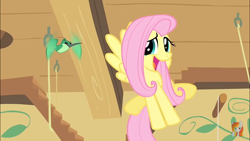Size: 1280x720 | Tagged: safe, screencap, character:fluttershy, species:bird, species:pegasus, species:pony, episode:a bird in the hoof, g4, my little pony: friendship is magic, cute, cute face, female, flying, happy, hummingbird, hummingway, mare
