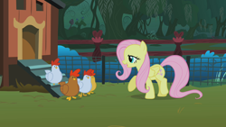Size: 1280x720 | Tagged: safe, screencap, character:fluttershy, species:bird, species:chicken, species:pony, episode:stare master, g4, my little pony: friendship is magic