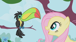 Size: 1280x720 | Tagged: safe, screencap, character:fluttershy, species:bird, species:pony, episode:the ticket master, g4, my little pony: friendship is magic, keel-billed toucan, toucan