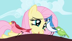 Size: 1280x720 | Tagged: safe, screencap, character:fluttershy, species:bird, species:pony, episode:friendship is magic, g4, my little pony: friendship is magic, blue jay, female, mare, songbird