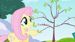Size: 1280x720 | Tagged: safe, screencap, character:fluttershy, species:bird, species:pony, episode:friendship is magic, g4, my little pony: friendship is magic
