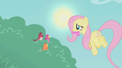 Size: 1280x720 | Tagged: safe, screencap, character:constance, character:fluttershy, species:bird, species:pegasus, species:pony, episode:dragonshy, g4, my little pony: friendship is magic, female, flying, mare, mouth hold, worm