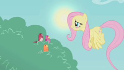 Size: 1280x720 | Tagged: safe, screencap, character:constance, character:fluttershy, species:bird, species:pegasus, species:pony, episode:dragonshy, g4, my little pony: friendship is magic, blushing, female, flying, mare