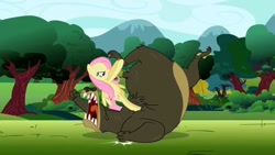 Size: 1280x720 | Tagged: safe, screencap, character:fluttershy, character:harry, species:pony, episode:lesson zero, g4, my little pony: friendship is magic, bear