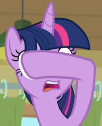 Size: 878x1080 | Tagged: safe, screencap, character:twilight sparkle, character:twilight sparkle (alicorn), species:alicorn, species:pony, episode:the point of no return, g4, my little pony: friendship is magic, covering eyes, cropped, facepalm, female, gasp, mare, open mouth, reaction image, shocked, solo, uvula