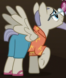 Size: 346x405 | Tagged: safe, screencap, character:home stretch, species:pegasus, species:pony, episode:viva las pegasus, g4, my little pony: friendship is magic, background pony, clothing, cropped, glasses, hawaiian shirt, male, raised hoof, shirt, solo, spread wings, stallion, wings