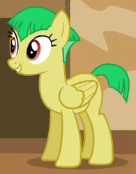 Size: 206x264 | Tagged: safe, screencap, character:wintergreen, species:pegasus, species:pony, episode:viva las pegasus, g4, my little pony: friendship is magic, background pony, cropped, female, las pegasus resident, mare, solo