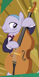 Size: 310x610 | Tagged: safe, screencap, species:earth pony, species:pony, episode:dungeons & discords, background pony, cropped, double bass, male, musical instrument, playing instrument, solo, stallion, unnamed pony