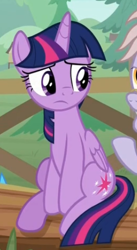 Size: 276x505 | Tagged: safe, screencap, character:dusty pages, character:twilight sparkle, character:twilight sparkle (alicorn), species:alicorn, species:pony, episode:the point of no return, g4, my little pony: friendship is magic, sitting