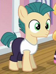 Size: 274x358 | Tagged: safe, screencap, species:pony, episode:on your marks, g4, my little pony: friendship is magic, background pony, cropped, male, solo focus, waltzer