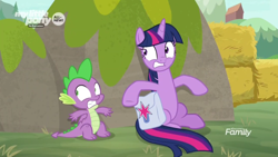 Size: 1366x768 | Tagged: safe, screencap, character:spike, character:twilight sparkle, character:twilight sparkle (alicorn), species:alicorn, species:dragon, species:pony, episode:the point of no return, g4, my little pony: friendship is magic, discovery family logo, hay bale, hiding, saddle bag, taking cover, winged spike