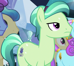 Size: 908x812 | Tagged: safe, screencap, character:ivory, character:ivory rook, character:sapphire joy, species:crystal pony, species:earth pony, species:pony, episode:the crystalling, g4, my little pony: friendship is magic, cropped, male, sly flourish, solo focus, stallion