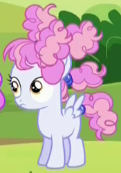 Size: 242x345 | Tagged: safe, screencap, character:cotton puff, species:pegasus, species:pony, episode:brotherhooves social, g4, my little pony: friendship is magic, blank flank, cropped, female, filly, frizzy hair, solo focus