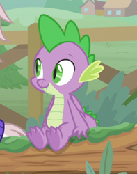 Size: 416x529 | Tagged: safe, screencap, character:spike, species:dragon, episode:the point of no return, g4, my little pony: friendship is magic, claws, cropped, cute, fangs, folded wings, log, male, sitting, smiling, solo focus, spread toes, toes, underfoot, winged spike, wings