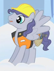 Size: 227x296 | Tagged: safe, screencap, species:pegasus, species:pony, episode:sonic rainboom, g4, my little pony: friendship is magic, background pony, clothing, cropped, hard hat, hat, male, safety vest, solo, stallion, steam roller (character), tools, vest