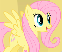 Size: 750x620 | Tagged: safe, screencap, character:fluttershy, species:pony, episode:green isn't your color, g4, my little pony: friendship is magic, cropped, solo