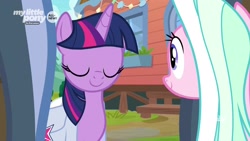 Size: 1920x1080 | Tagged: safe, screencap, character:tender brush, character:twilight sparkle, character:twilight sparkle (alicorn), species:alicorn, species:pony, episode:the point of no return, g4, my little pony: friendship is magic, saddle bag