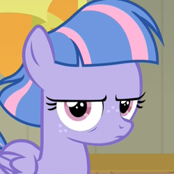 Size: 1078x1078 | Tagged: safe, screencap, character:wind sprint, species:pegasus, species:pony, episode:common ground, g4, my little pony: friendship is magic, annoyed, cropped, disapproval, female, filly, foal, frown, glare, lidded eyes, looking at you, reaction image, solo, wind sprint is not amused