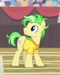 Size: 318x396 | Tagged: safe, screencap, species:earth pony, species:pony, episode:common ground, g4, my little pony: friendship is magic, background pony, buckball uniform, clothing, cropped, jersey, las pegasus resident, male, saturn (character), solo, stallion