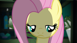 Size: 1280x720 | Tagged: safe, screencap, character:fluttershy, species:pegasus, species:pony, episode:putting your hoof down, g4, my little pony: friendship is magic, cel shading, depressed, female, fluttershy's cottage, frown, head only, looking down, mare, poor fluttershy, sad, shading, solo