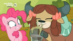 Size: 1675x937 | Tagged: safe, screencap, character:pinkie pie, character:yona, species:earth pony, species:pony, species:yak, episode:she's all yak, g4, my little pony: friendship is magic, bow, cloven hooves, duo, female, hair bow, hoof hold, mare, monkey swings, tree-root stew